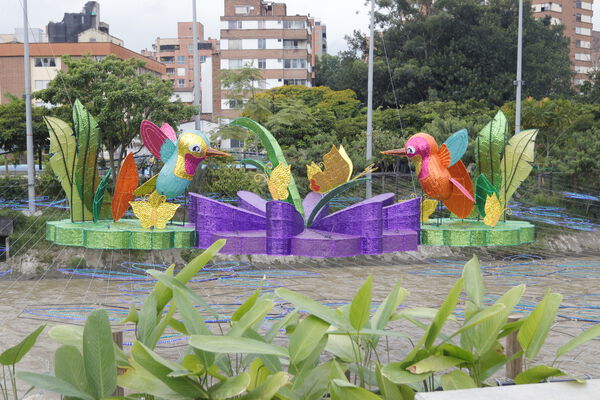 _MG_7286.JPG