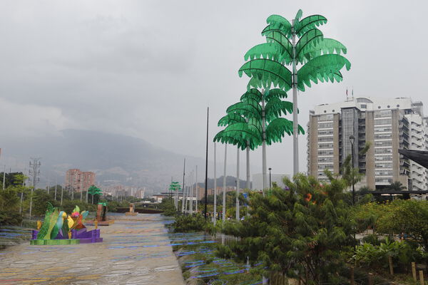 _MG_7287.JPG