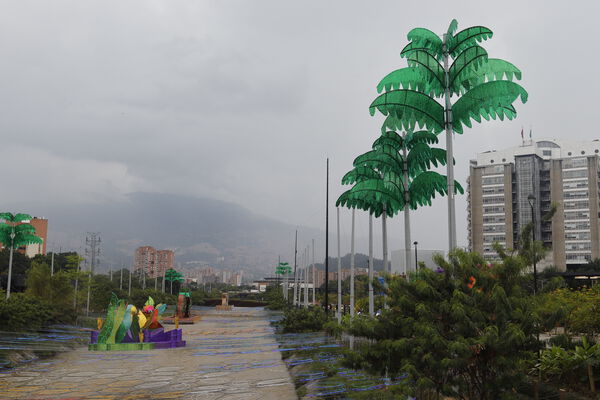 _MG_7288.JPG