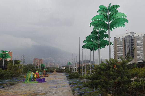 _MG_7289.JPG
