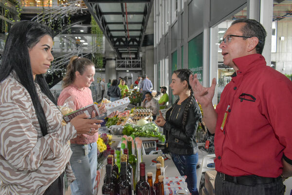 Mercados Verdes EPM
Para descargar esta fotografía en alta resolución, haga clic sobre la imagen hasta que la misma se despliegue en la pantalla completa; luego dé clic derecho y elija la opción "guardar imagen como".
En caso de publicación por cualquier medio, solicitamos acompañarla del crédito: "Foto EPM"
Palabras clave: Mercados Verdes EPM