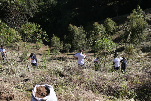 Siembra arboles Tanques Fontibón Rionegro
Siembra de arboles en Tanques Fontibón Rionegro
Fecha: 4 Mayo 2023
Para descargar esta fotografía en alta resolución, haga clic sobre la imagen hasta que la misma se despliegue en la pantalla completa; luego dé clic derecho y elija la opción "guardar imagen como". 
En caso de publicación por cualquier medio, solicitamos acompañarla del crédito: "Foto EPM"
Palabras clave: Siembra arboles Tanques Fontibón Rionegro