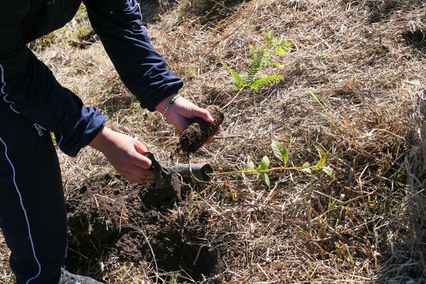 Siembra arboles Tanques Fontibón Rionegro
Siembra de arboles en Tanques Fontibón Rionegro
Fecha: 4 Mayo 2023
Para descargar esta fotografía en alta resolución, haga clic sobre la imagen hasta que la misma se despliegue en la pantalla completa; luego dé clic derecho y elija la opción "guardar imagen como". 
En caso de publicación por cualquier medio, solicitamos acompañarla del crédito: "Foto EPM"
Palabras clave: Siembra arboles Tanques Fontibón Rionegro