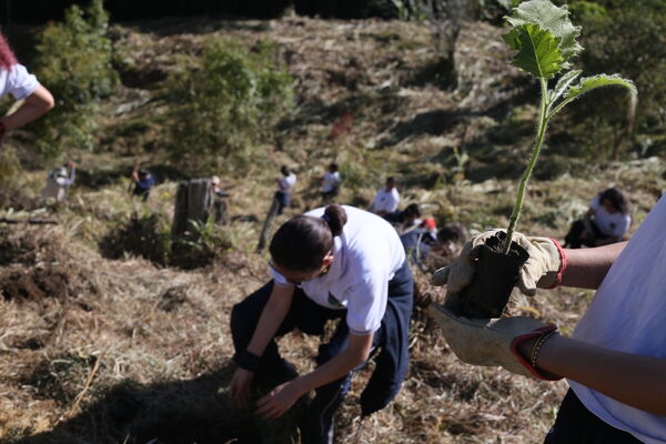 Siembra arboles Tanques Fontibón Rionegro
Siembra de arboles en Tanques Fontibón Rionegro
Fecha: 4 Mayo 2023
Para descargar esta fotografía en alta resolución, haga clic sobre la imagen hasta que la misma se despliegue en la pantalla completa; luego dé clic derecho y elija la opción "guardar imagen como". 
En caso de publicación por cualquier medio, solicitamos acompañarla del crédito: "Foto EPM"
Palabras clave: Siembra arboles Tanques Fontibón Rionegro