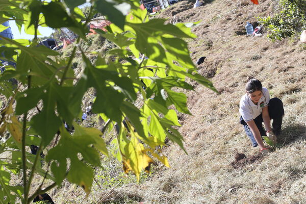 Siembra arboles Tanques Fontibón Rionegro
Siembra de arboles en Tanques Fontibón Rionegro
Fecha: 4 Mayo 2023
Para descargar esta fotografía en alta resolución, haga clic sobre la imagen hasta que la misma se despliegue en la pantalla completa; luego dé clic derecho y elija la opción "guardar imagen como". 
En caso de publicación por cualquier medio, solicitamos acompañarla del crédito: "Foto EPM"
Palabras clave: Siembra arboles Tanques Fontibón Rionegro