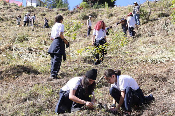 Siembra arboles Tanques Fontibón Rionegro
Siembra de arboles en Tanques Fontibón Rionegro
Fecha: 4 Mayo 2023
Para descargar esta fotografía en alta resolución, haga clic sobre la imagen hasta que la misma se despliegue en la pantalla completa; luego dé clic derecho y elija la opción "guardar imagen como". 
En caso de publicación por cualquier medio, solicitamos acompañarla del crédito: "Foto EPM"
Palabras clave: Siembra arboles Tanques Fontibón Rionegro