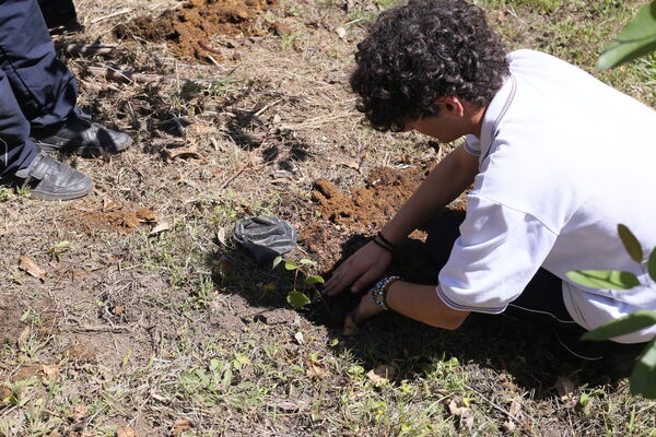 Siembra arboles Tanques Fontibón Rionegro
Siembra de arboles en Tanques Fontibón Rionegro
Fecha: 4 Mayo 2023
Para descargar esta fotografía en alta resolución, haga clic sobre la imagen hasta que la misma se despliegue en la pantalla completa; luego dé clic derecho y elija la opción "guardar imagen como". 
En caso de publicación por cualquier medio, solicitamos acompañarla del crédito: "Foto EPM"
Palabras clave: Siembra arboles Tanques Fontibón Rionegro