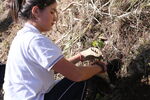 Nombre del archivo=IMG_6831.JPG
Tamaño del archivo=8704KiB
Dimensiones=5472x3648
Fecha añadida=Mayo 04, 2023 IMG_6831.JPG