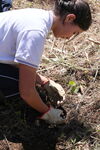Nombre del archivo=IMG_6833.JPG
Tamaño del archivo=8504KiB
Dimensiones=3648x5472
Fecha añadida=Mayo 04, 2023 IMG_6833.JPG