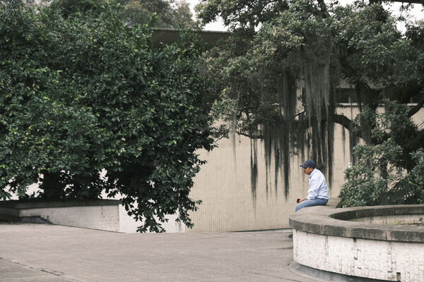 _DSF0368.JPG