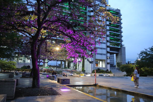 Iluminación LED Pies Descalzos 2023
Palabras clave: Iluminación LED Pies Descalzos 2023