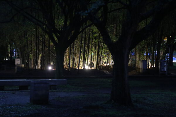 Iluminación LED Pies Descalzos 2023
Palabras clave: Iluminación LED Pies Descalzos 2023