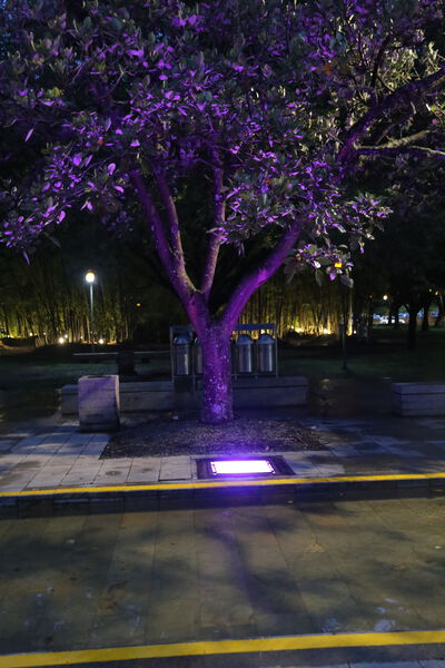 Iluminación LED Pies Descalzos 2023
Palabras clave: Iluminación LED Pies Descalzos 2023