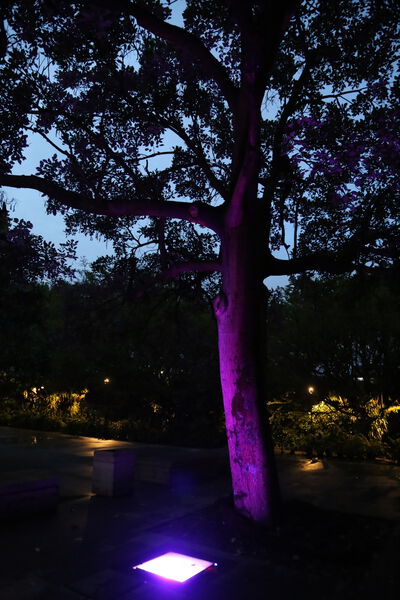 Iluminación LED Pies Descalzos 2023
Palabras clave: Iluminación LED Pies Descalzos 2023