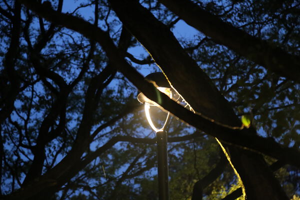 Iluminación LED Pies Descalzos 2023
Iluminación LED Pies Descalzos 2023
Fecha: 3 Noviembre 2023
Para descargar esta fotografía en alta resolución, haga clic sobre la imagen hasta que la misma se despliegue en la pantalla completa; luego dé clic derecho y elija la opción "guardar imagen como". 
En caso de publicación por cualquier medio, solicitamos acompañarla del crédito: "Foto EPM"
Palabras clave: Iluminación LED Pies Descalzos 2023