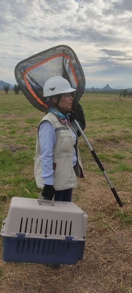 Parque Solar Tepuy avance obras 53 %
Parque Solar Tepuy avance obras 53 %
fecha: 2 de novienbre 2023 
Para descargar esta fotografía en alta resolución, haga clic sobre la imagen hasta que la misma se despliegue en la pantalla completa; luego dé clic derecho y elija la opción "guardar imagen como". 
En caso de publicación por cualquier medio, solicitamos acompañarla del crédito: "Foto EPM" 
Palabras clave: Parque Solar Tepuy avance obras 53 %