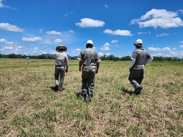  Parque Solar Tepuy avance obras 62 %
Parque Solar Tepuy avance obras 62 %
Fecha: 2 de noviembre 2023

Para descargar esta fotografía en alta resolución, haga clic sobre la imagen hasta que la misma se despliegue en la pantalla completa; luego dé clic derecho y elija la opción "guardar imagen como"

En caso de publicación por cualquier medio, solicitamos acompañarla del crédito: "Foto EPM"  
Palabras clave: Parque Solar Tepuy avance obras 62 %