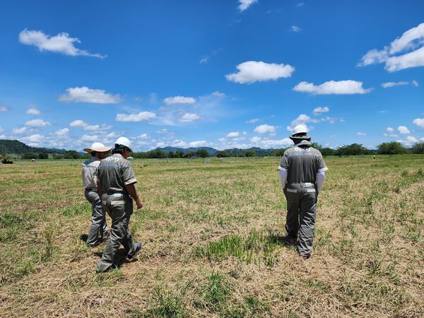  Parque Solar Tepuy avance obras 62 %
Parque Solar Tepuy avance obras 62 %
Fecha: 2 de noviembre 2023

Para descargar esta fotografía en alta resolución, haga clic sobre la imagen hasta que la misma se despliegue en la pantalla completa; luego dé clic derecho y elija la opción "guardar imagen como"

En caso de publicación por cualquier medio, solicitamos acompañarla del crédito: "Foto EPM"  
Palabras clave: Parque Solar Tepuy avance obras 62 %