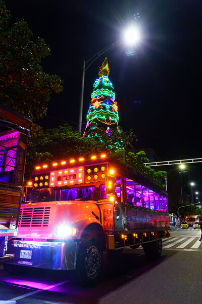 avenida_la_playa_28629.jpg