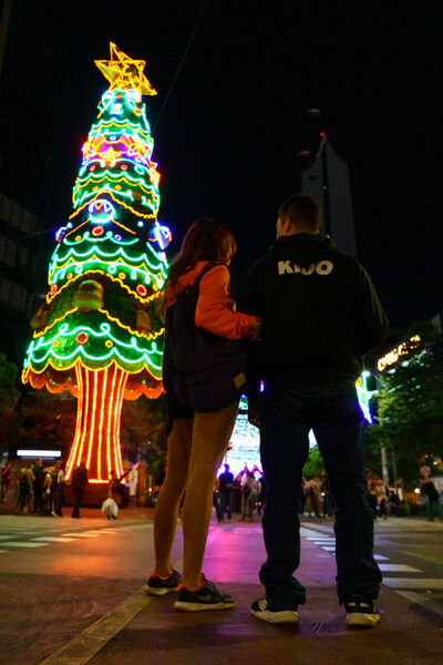 avenida_la_playa_28829.jpg