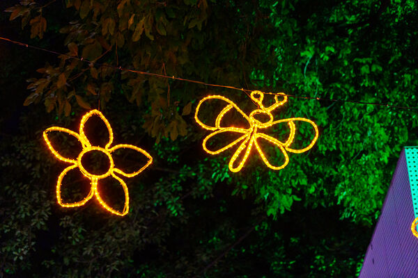 parque_laureles_28329.jpg