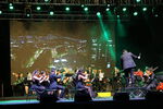 Filename=IMG_9430.JPG
Filesize=6386KiB
Dimensions=5472x3648
Date added=Nov 30, 2023 IMG_9430.JPG