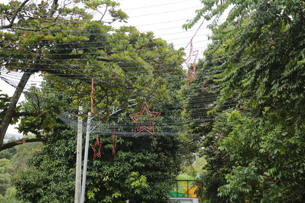 La_Playa_Centro_28629.JPG