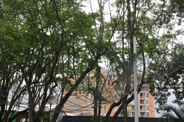 Parque_Poblado_281429.JPG