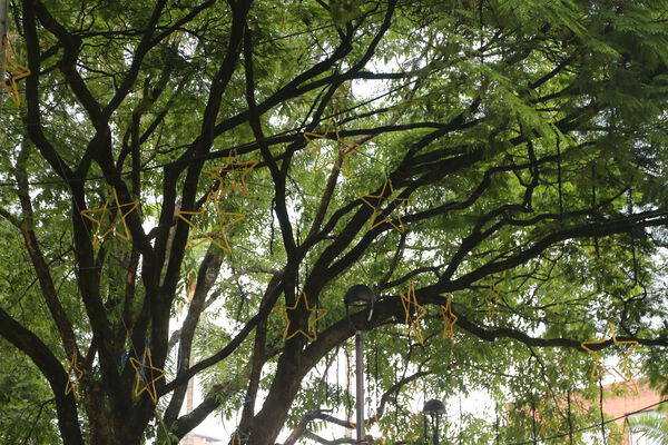 Parque_Poblado_28229.JPG