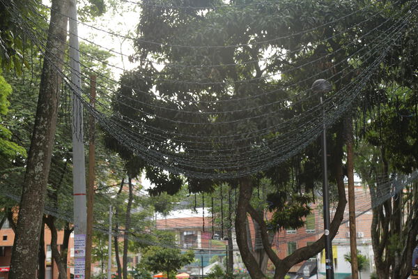 Parque_Poblado_28829.JPG