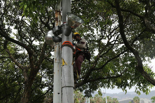 Parque_San_Antonio_Centro_28329.JPG