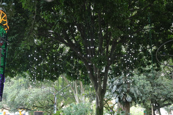 Primer_Parque_Laureles_282229.JPG
