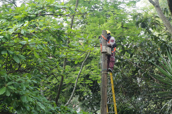 Primer_Parque_Laureles_28229.JPG