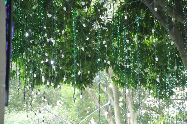 Primer_Parque_Laureles_282329.JPG