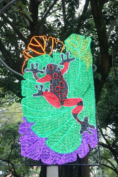 Primer_Parque_Laureles_282529.JPG