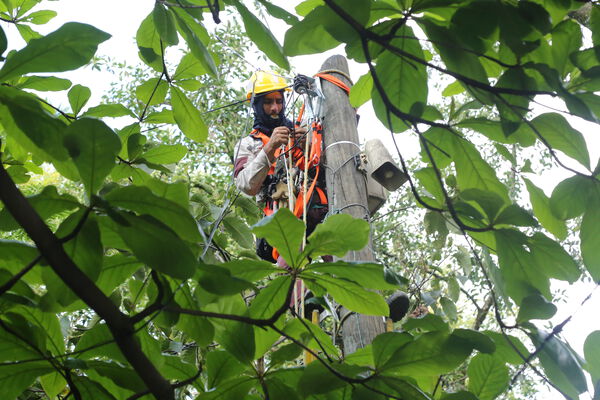 Primer_Parque_Laureles_28629.JPG