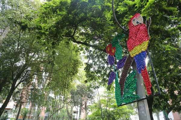 Primer_Parque_Laureles_28929.JPG