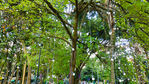 Nombre del archivo=Parque_Belen_281729.jpg
Tamaño del archivo=10189KiB
Dimensiones=4000x2250
Fecha añadida=Octubre 30, 2023 Parque_Belen_281729.jpg