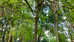Nombre del archivo=Parque_Belen_281829.jpg
Tamaño del archivo=10016KiB
Dimensiones=4000x2250
Fecha añadida=Octubre 30, 2023 Parque_Belen_281829.jpg