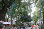 Nombre del archivo=Parque_Belen_28529.JPG
Tamaño del archivo=10166KiB
Dimensiones=5472x3648
Fecha añadida=Octubre 30, 2023 Parque_Belen_28529.JPG