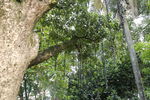 Nombre del archivo=Parque_Belen_28729.JPG
Tamaño del archivo=11255KiB
Dimensiones=5472x3648
Fecha añadida=Octubre 30, 2023 Parque_Belen_28729.JPG