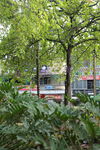 Nombre del archivo=Parque_Belen_28829.JPG
Tamaño del archivo=10378KiB
Dimensiones=3648x5472
Fecha añadida=Octubre 30, 2023 Parque_Belen_28829.JPG
