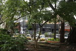 Nombre del archivo=Parque_Poblado_281229.JPG
Tamaño del archivo=9832KiB
Dimensiones=5472x3648
Fecha añadida=Octubre 30, 2023 Parque_Poblado_281229.JPG