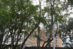 Nombre del archivo=Parque_Poblado_281429.JPG
Tamaño del archivo=12201KiB
Dimensiones=5472x3648
Fecha añadida=Octubre 30, 2023 Parque_Poblado_281429.JPG