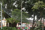 Nombre del archivo=Parque_Poblado_28329.JPG
Tamaño del archivo=11158KiB
Dimensiones=5472x3648
Fecha añadida=Octubre 30, 2023 Parque_Poblado_28329.JPG