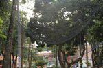 Nombre del archivo=Parque_Poblado_28829.JPG
Tamaño del archivo=7549KiB
Dimensiones=5472x3648
Fecha añadida=Octubre 30, 2023 Parque_Poblado_28829.JPG