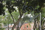 Nombre del archivo=Parque_Poblado_28929.JPG
Tamaño del archivo=9264KiB
Dimensiones=5472x3648
Fecha añadida=Octubre 30, 2023 Parque_Poblado_28929.JPG