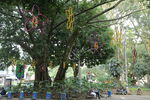 Nombre del archivo=Primer_Parque_Laureles_281229.JPG
Tamaño del archivo=9452KiB
Dimensiones=5472x3648
Fecha añadida=Octubre 30, 2023 Primer_Parque_Laureles_281229.JPG