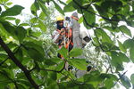 Primer_Parque_Laureles_28629.JPG