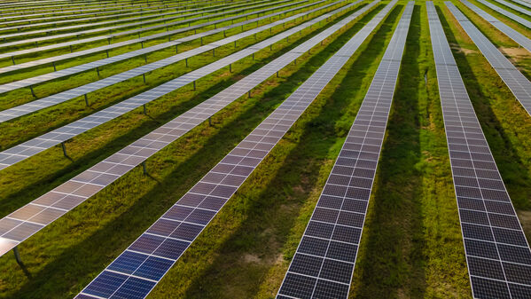Parque solar fotovoltaico Tepuy
Parque solar fotovoltaico Tepuy
Fecha: 13, 14 Junio 2024
Para descargar esta fotografía en alta resolución, haga clic sobre la imagen hasta que la misma se despliegue en la pantalla completa; luego dé clic derecho y elija la opción "guardar imagen como". 
En caso de publicación por cualquier medio, solicitamos acompañarla del crédito: "Foto EPM"
Palabras clave: Parque solar fotovoltaico Tepuy